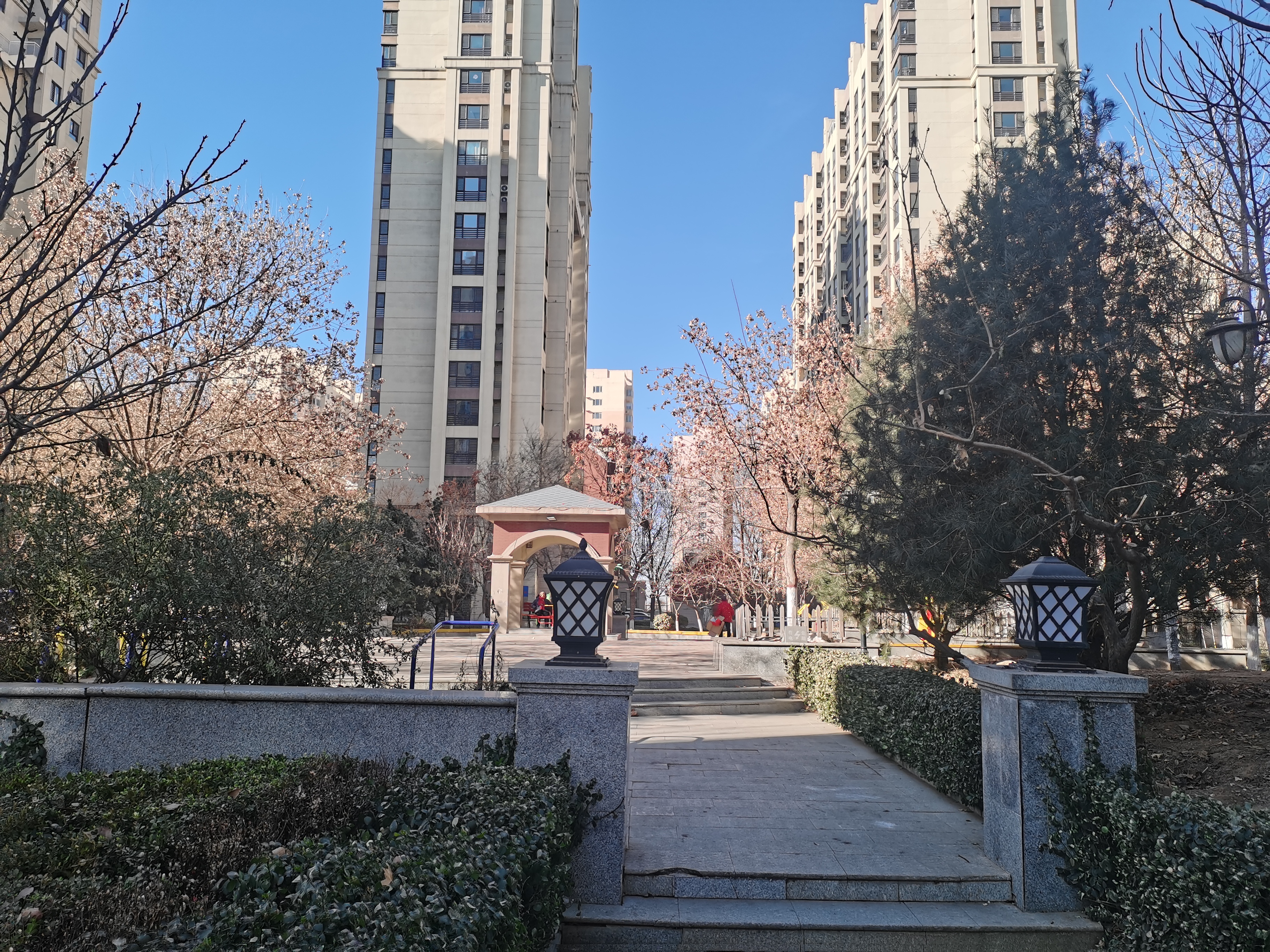 玉田枫林绿洲最新动态，学习变化，自信起航，塑造未来绿洲梦想启程地