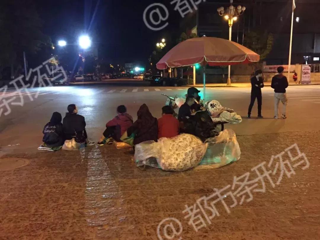 通海地震最新消息,通海地震最新消息，全面解读地震动态与应对策略