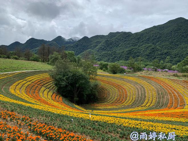 兰州感染最新消息，自然美景之旅寻求内心平和与宁静