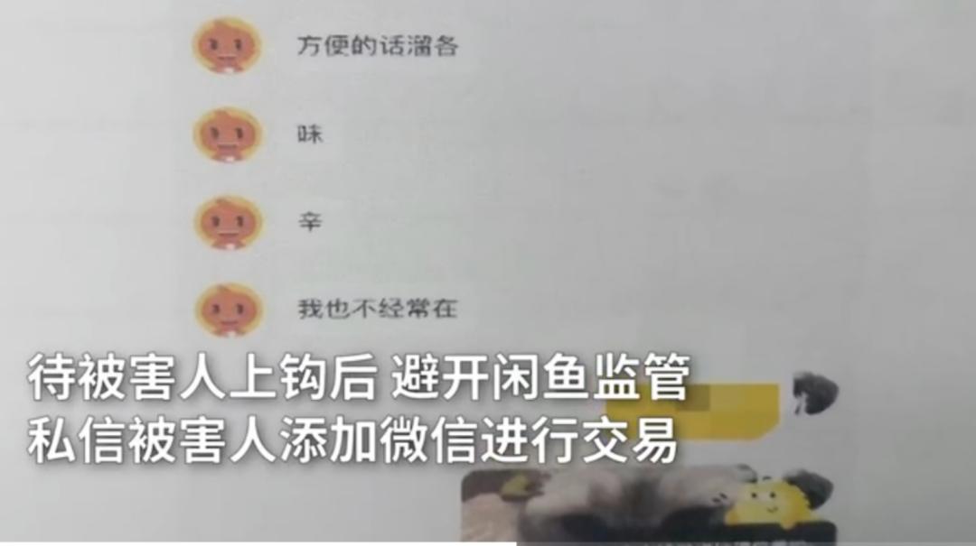 苹果退款最新解读与动态更新