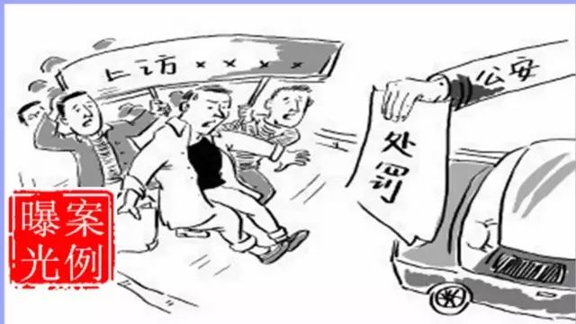 理性表达观点的重要性与策略，最新上访案例分析