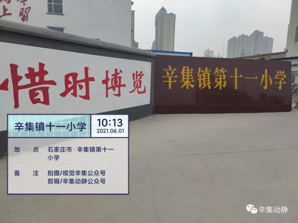 最新十大傻的温馨日常全解析