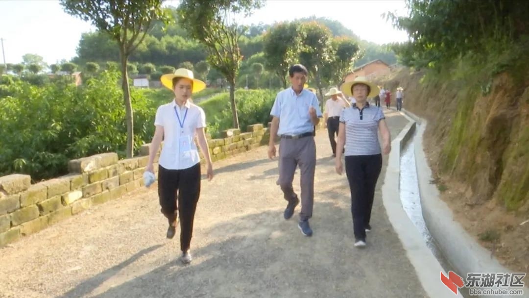 湖北蕲春小巷深处的独特风味，最新新闻报道