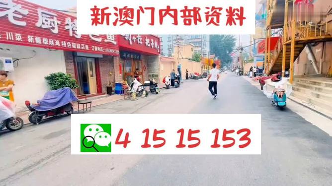 2023新澳门天天开好彩,科学分析严谨解释_优雅版95.799