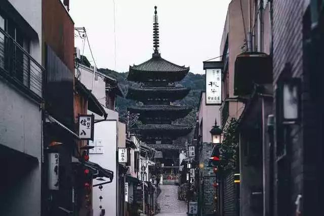 最新移祖费揭秘，小巷深处的独特风味