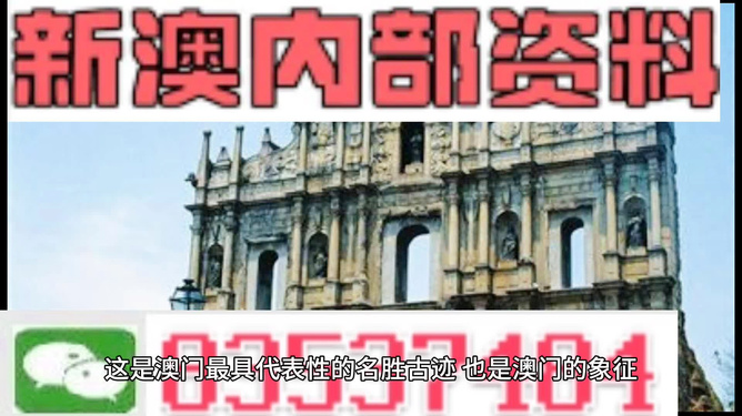 2024新澳门正版精准免费大全 拒绝改写,实际调研解析_奢华版95.351