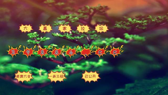 2024新澳门跑狗图今晚特,实地观察解释定义_明星版95.135