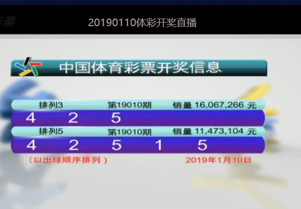 2024澳门今晚开奖号码香港记录,数据分析计划_闪电版95.561