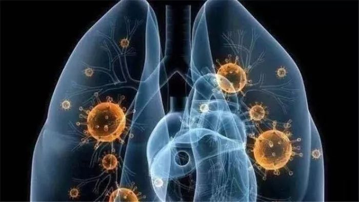 多维度视角下的浙江最新肺炎观点阐述