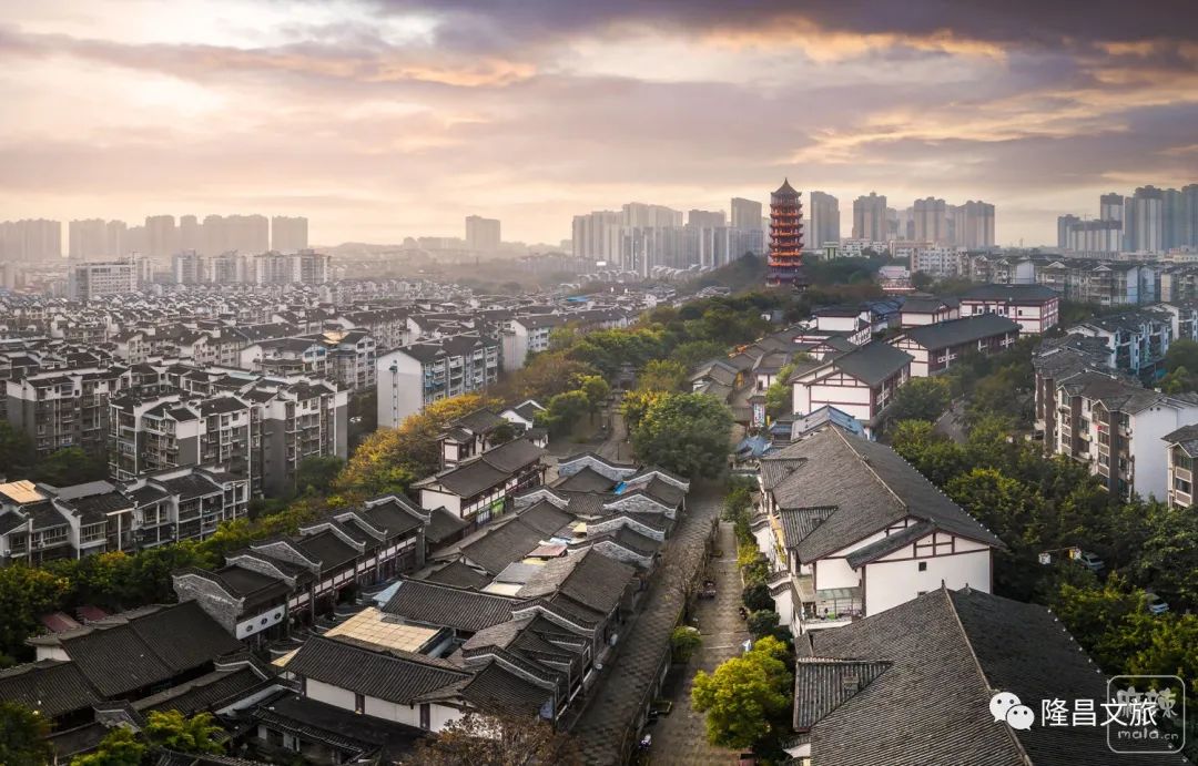 隆昌最新动态更新📣📣
