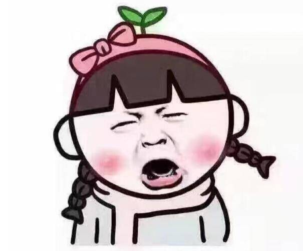最新款黄龙，一段温馨有趣的日常故事之旅