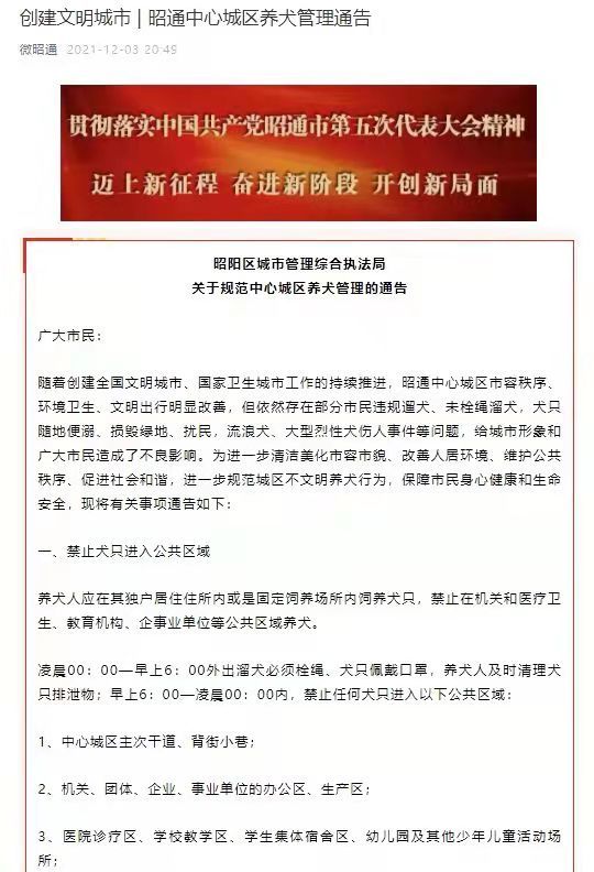 新京报揭秘，小巷深处的独特风味