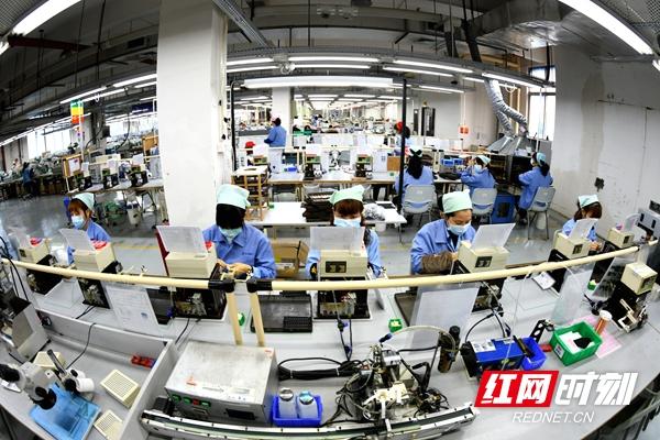 疫情最新报告更新，学习之光引领前行之路