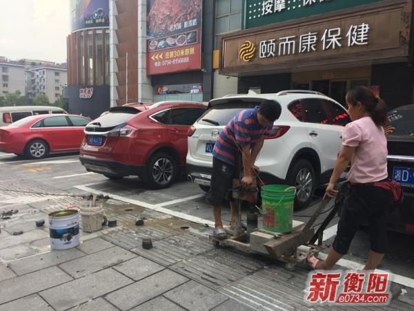 衡阳最新发布，温馨日常小趣事分享