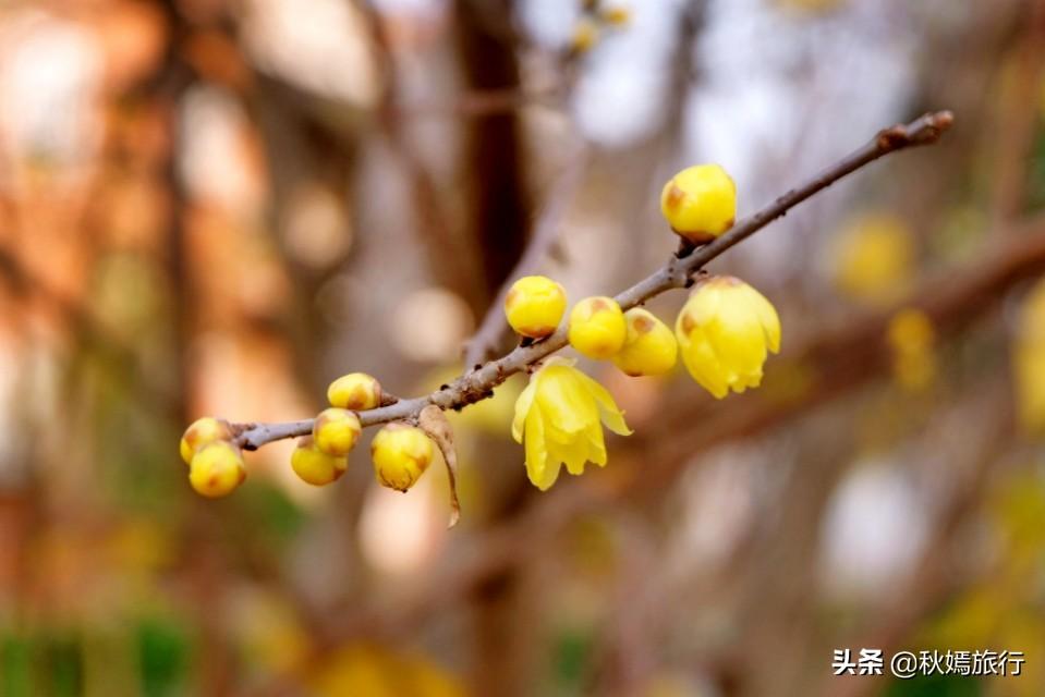 探索自然美景之旅，最新报道与内心平和的追寻