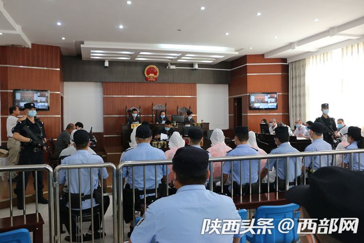 陕西凤翔案情最新深度解析与进展报告