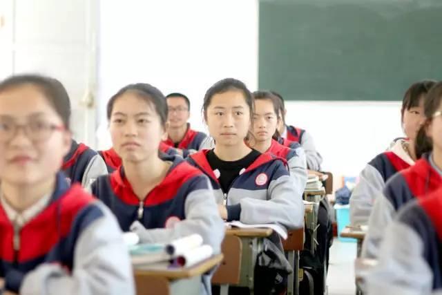 新高考选科解读与指导建议，科学选择未来路径的必修课