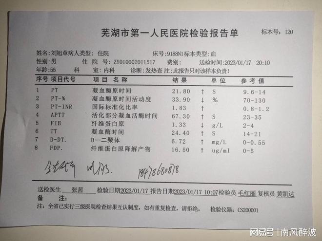 甘肃肺炎病例最新动态与小巷深处的独特风情及美食探索