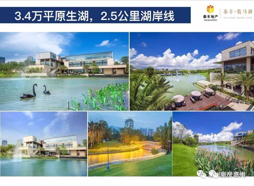 大亚湾牧马湖最新动态，变化中的学习之旅，自信与成就感的源泉