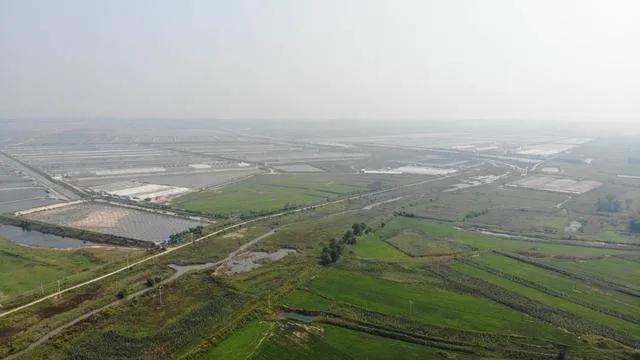 辽宁葫芦岛最新新闻，学习变革浪潮中的自信与成就之源