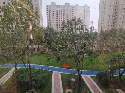 大同公园一号绿意盎然升级进行时，最新动态揭秘美好升级之路！