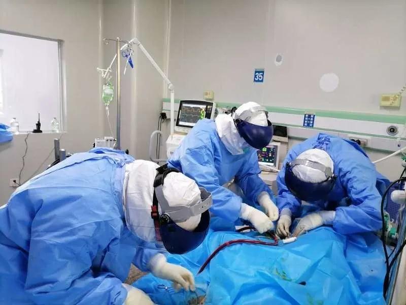 帅老门户最新日志回顾，背景、事件与地位的深度剖析