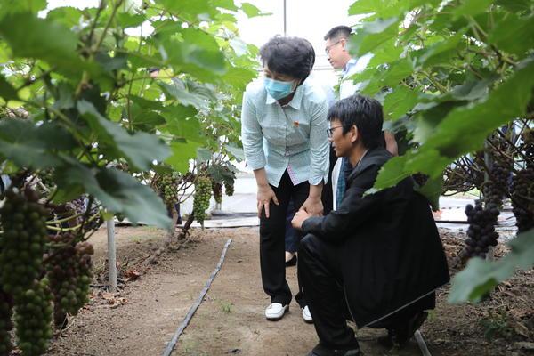 铸铁平板平台 第163页