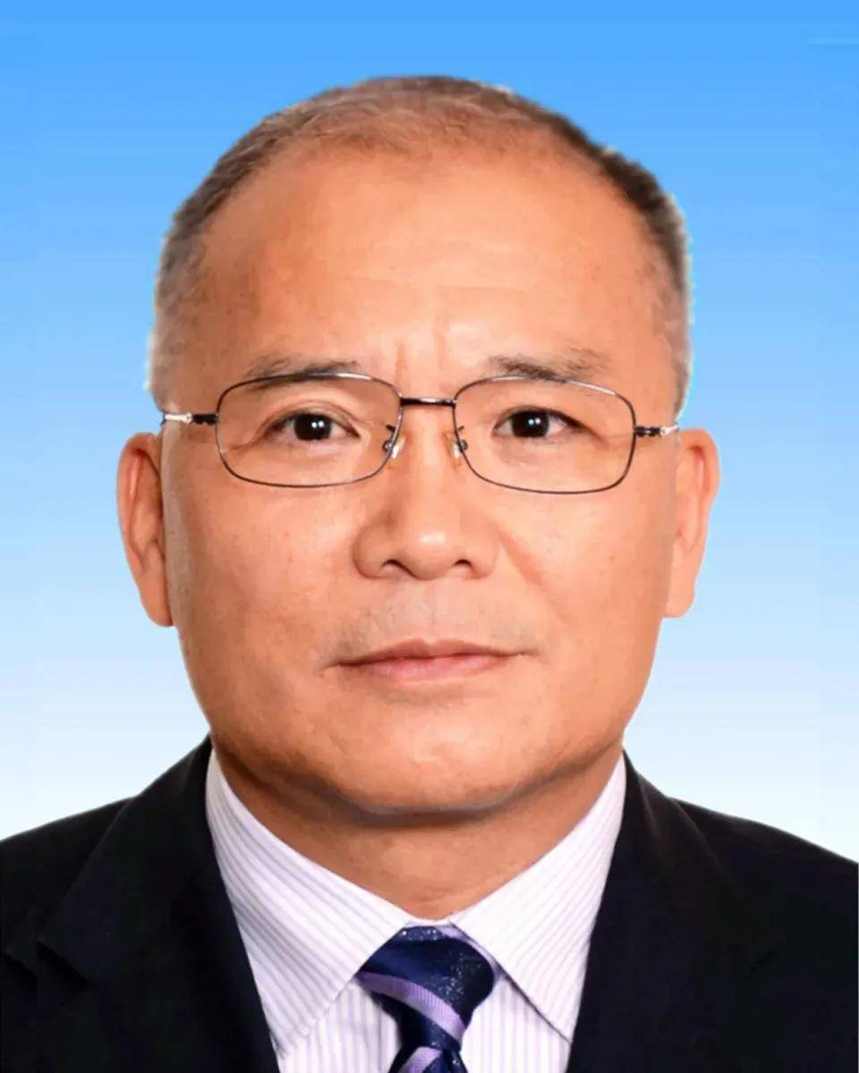 云南省委常委最新分工，日常趣事与情感纽带共融共生