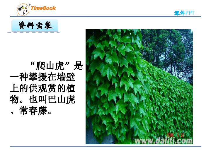 最新爬山虎的脚说课稿详解
