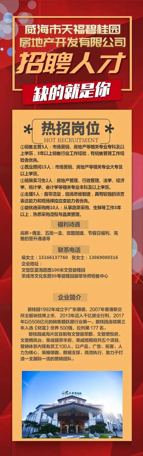 威海苘山最新招聘信息，科技引领职场未来，开启新篇章