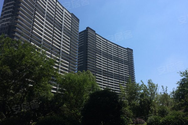 宿州华府春天最新动态，变化中的春天与学习带来的自信与成就感