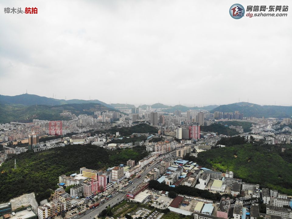 樟洋土地三旧改造最新日常故事，旧地焕新颜，友情的温暖