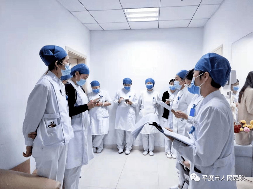 水岸新巢，日常趣事与爱伴温馨家园的最新动态