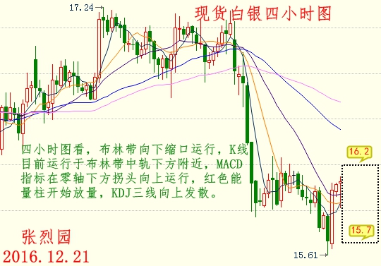 白银最新走势解析，探寻银市脉络与动态变化