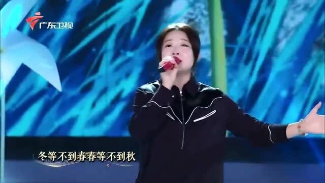 时代之声的崭新旋律，最新出炉的歌曲