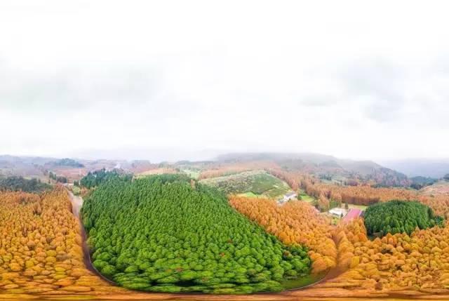 南部新闻最新动态，小城温馨日常与友情力量的故事