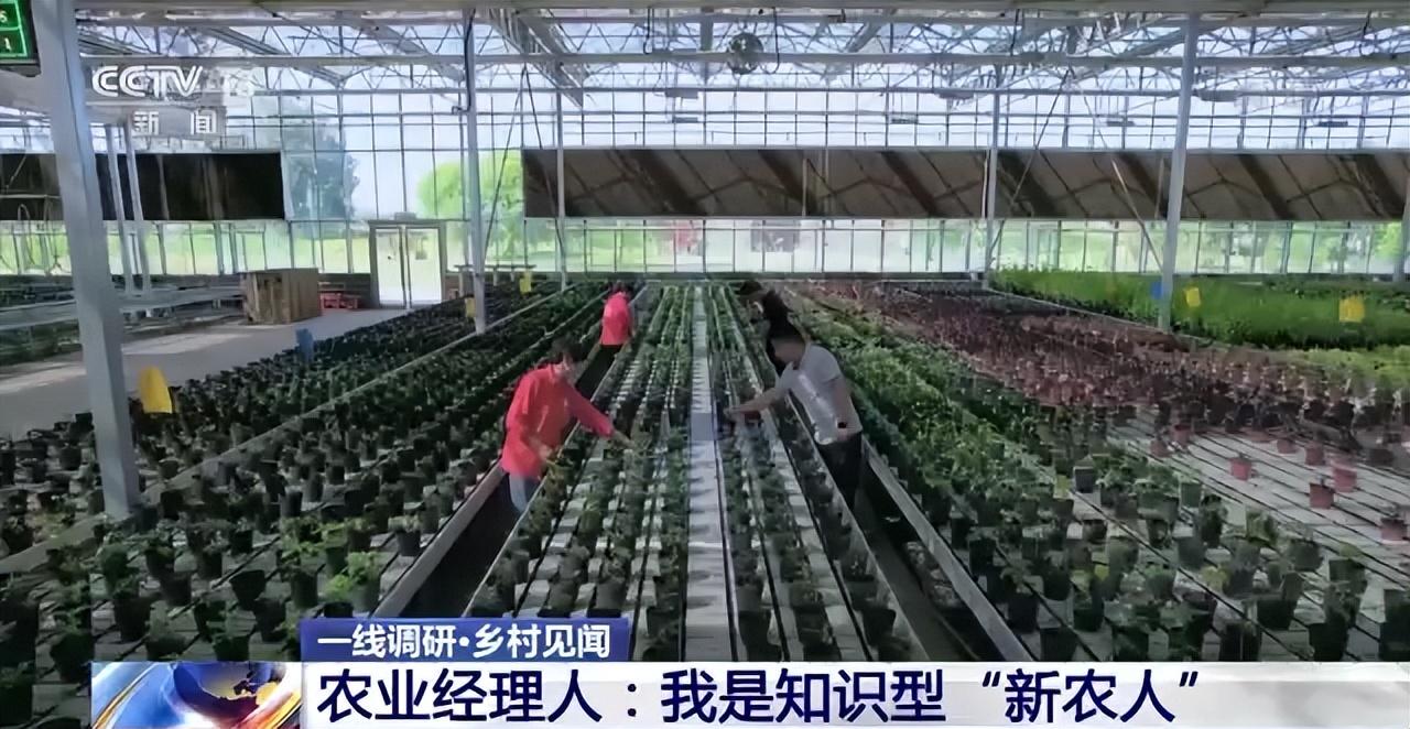 郑州最新二手房市场动态，家园变迁与自信成就感的探索