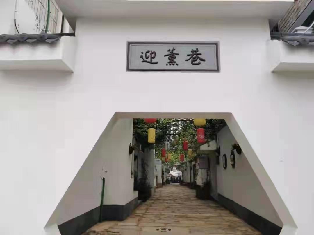焦点访谈最新，小巷深处的独特风情