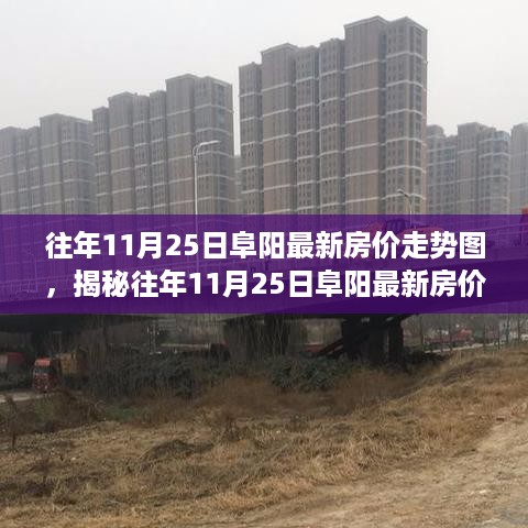 阜阳最新房价探析，观点阐述与市场分析报告