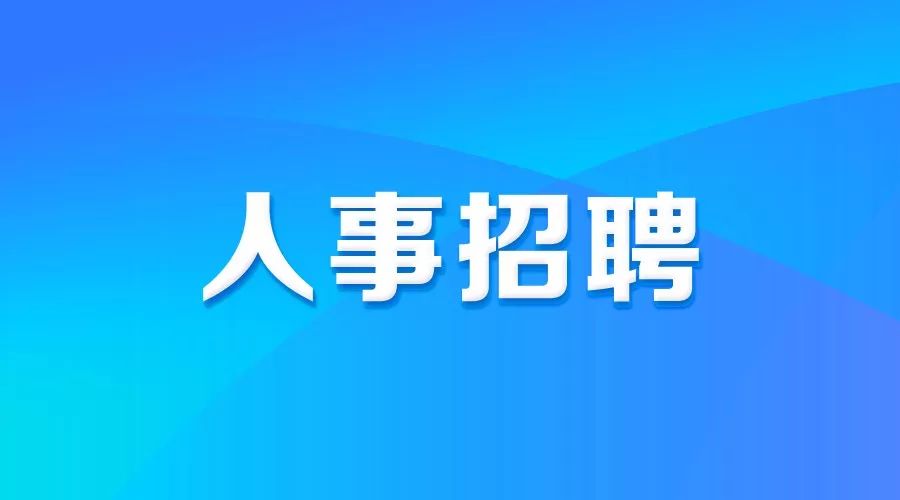 遂宁招聘网最新招聘，小巷深处的独特机遇——探寻隐藏的小店职位