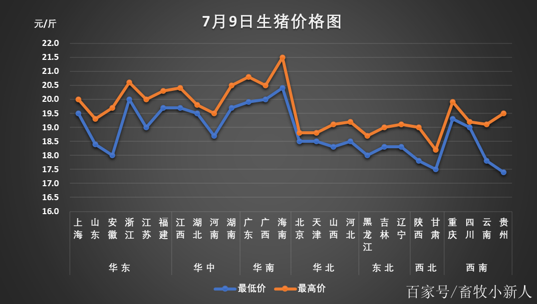 今日猪肉价格一览，最新价格表与市场走势分析与预测