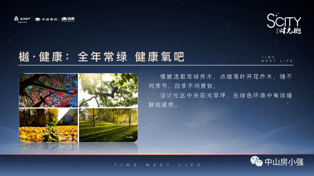 奥特曼最新玩具深度解析与观点阐述，全方位体验最新奥特曼玩具的魅力