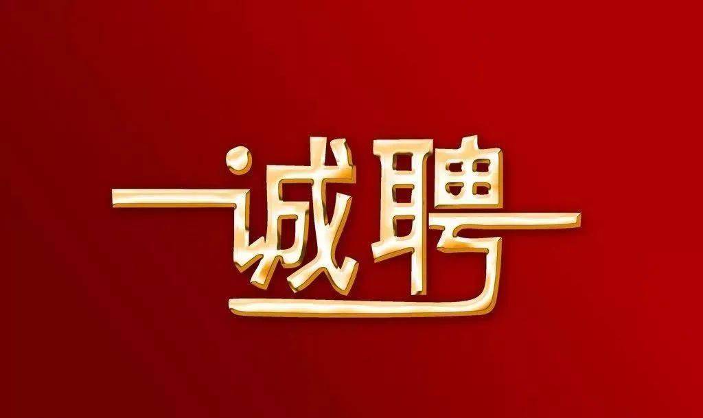 连云港招聘网最新招聘信息揭秘，探寻特色小店背后的隐藏宝藏故事