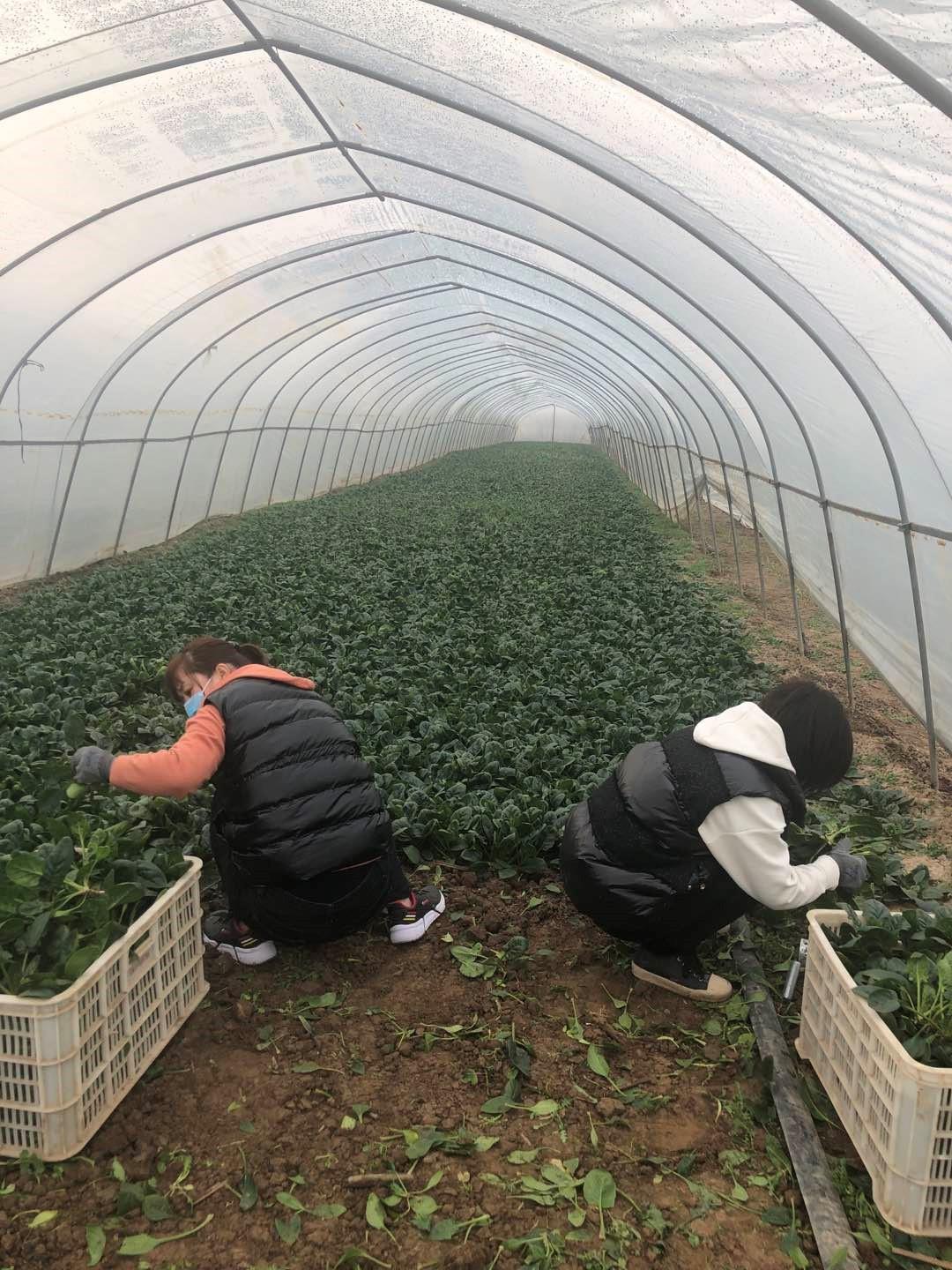 西安疫情最新数据与应对步骤指南