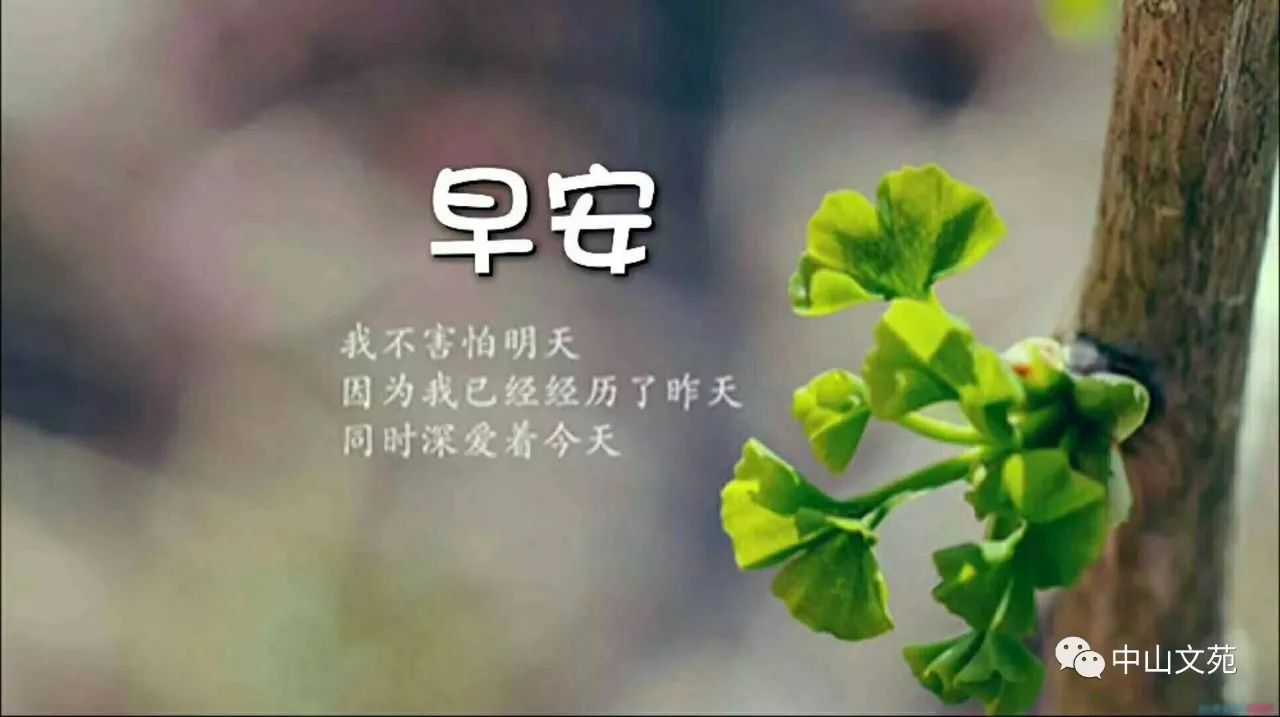 最新早安语录，唤醒自信与活力，开启美好一天