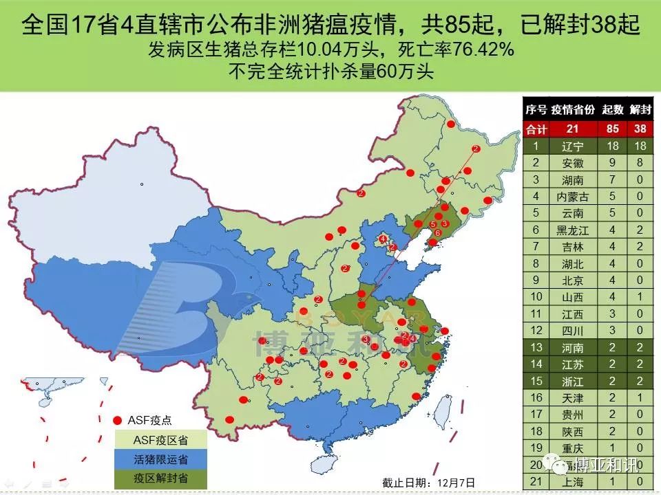 最新猪瘟动态更新，最新猪瘟情况概述