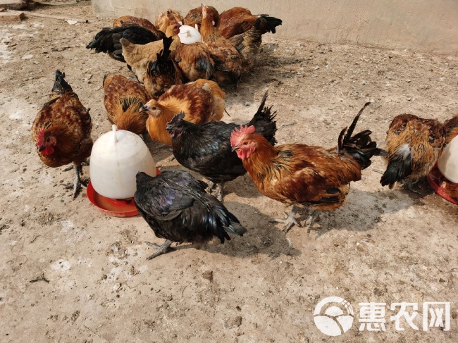 机床铸件 第37页