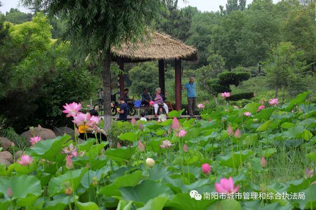 南阳舒心园最新动态，全面了解与参与指南