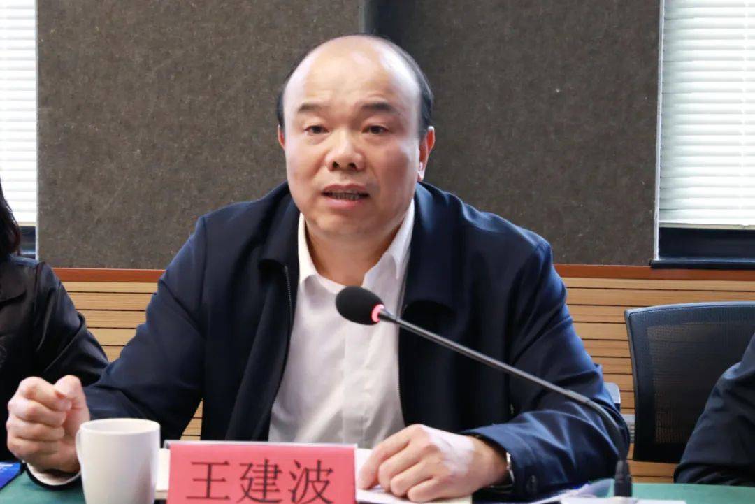 灵宝王建波最新任职揭晓，多方观点分析与个人立场阐述