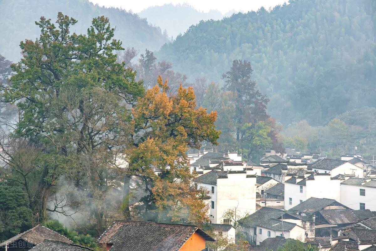 旧月安好最新连载小说，背景、影响与地位揭秘